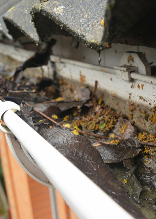 Rain Gutter Cleaning from Leaves and Dirt. Roof Gutter Drainage Cleaning Tips. Clean Your Gutters Before They Clean Out Your Wallet. Guttering Works.